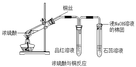 繼續加熱保持沸騰狀態淡黃色固體消失將變黑的銅絲置於稀硫酸中黑色物