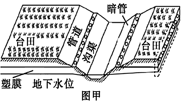 鱼塘台田模式图片