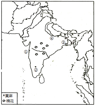 印度黄麻分布地区图片