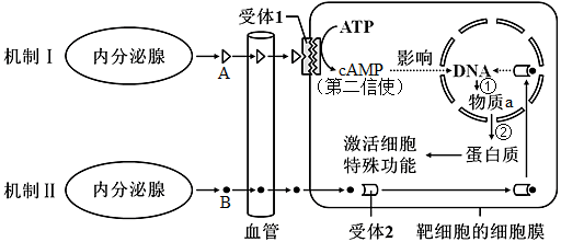 如圖為人體激素的兩種作用機制示意圖請據圖回答下列問題