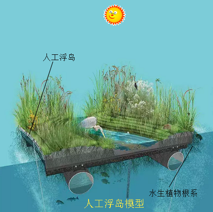 生态浮岛原理图片