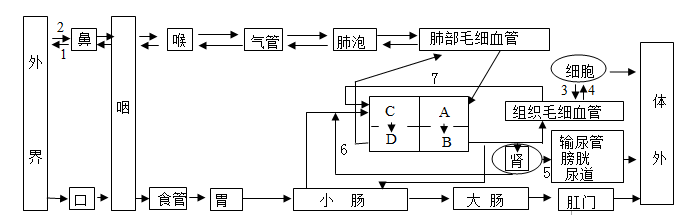 如圖為縮手反射的反射弧模式圖,根據所學生物學知識,據圖回答問題