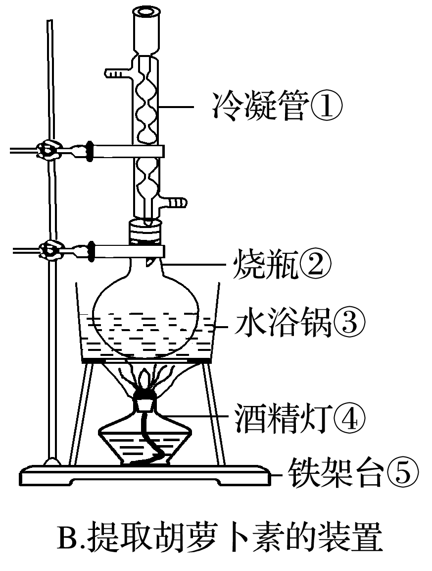 如图是提取玫瑰精油的水蒸气蒸馏装置图和提取胡萝卜素的装置图,分析