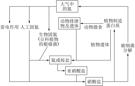 自然界中氮的循环如图所示下列说法错误的是