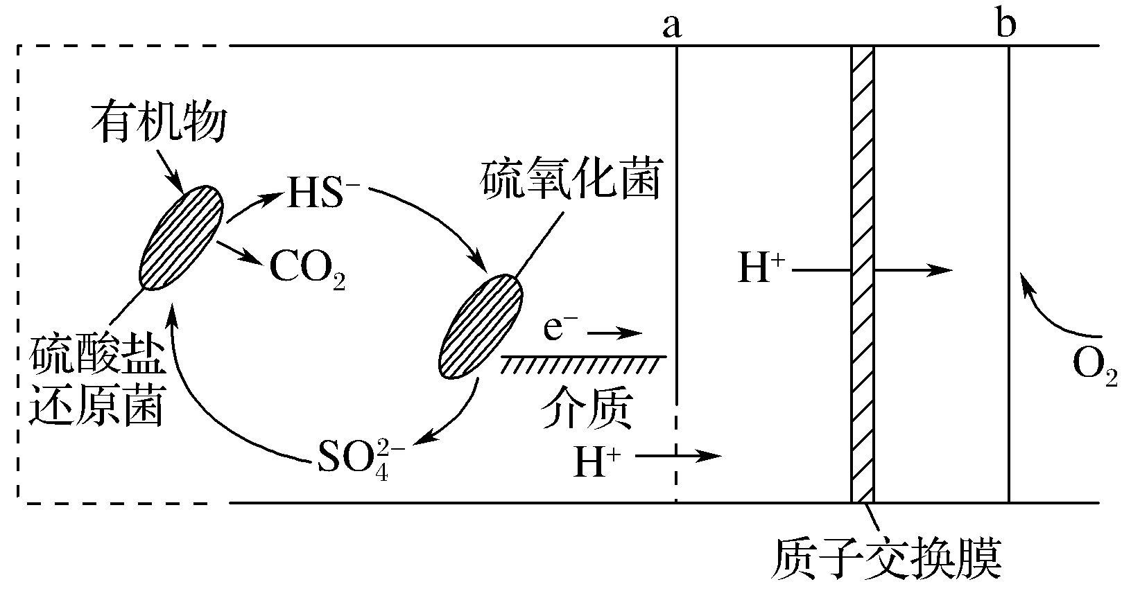 有一種節能的氯鹼工業新工藝將電解池與燃料電池組合相關流程如圖所示