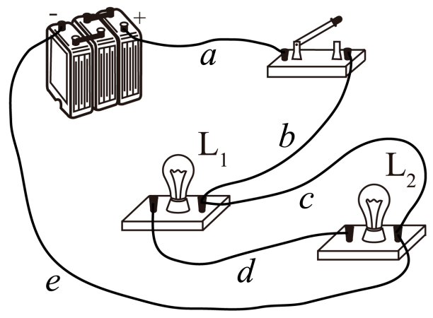 灯泡的并联实验时连成如图电路,回答下列问题:(1)闭合开关后电路将