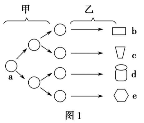 细胞增殖简图图片