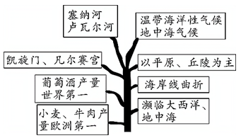 法国思维导图初中地理图片