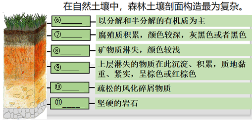 觀察土壤的內容:(1)土壤顏色:____:主要分佈於長江以南低山丘陵地區.