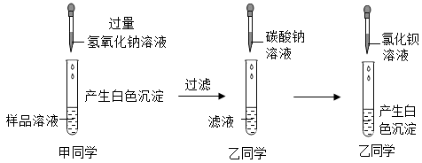 創新實驗小組的同學完成粗鹽提純的實驗後得到了白色固體老師提出白色