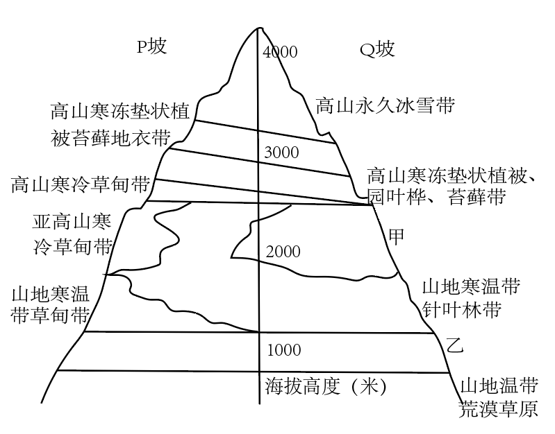 读我国某山地垂直自然带谱示意图完成下列各题