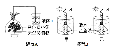 某校生物項目探究小組探究植物的光合作用和呼吸作用設計了兩個實驗