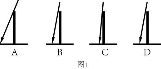 竹竿的影子长度变化图图片