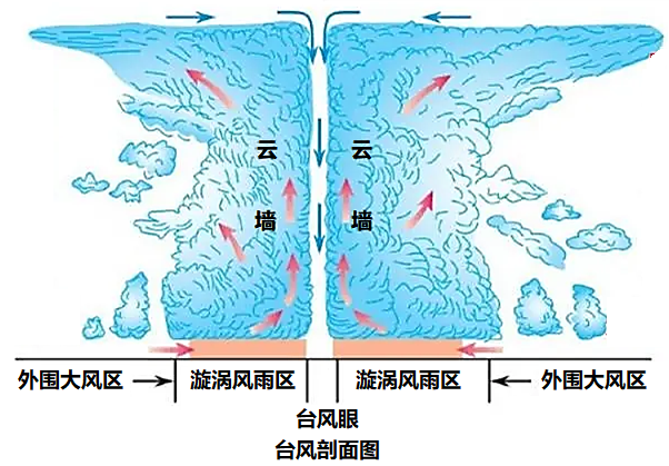 读台风剖面图和台风卫星影像图