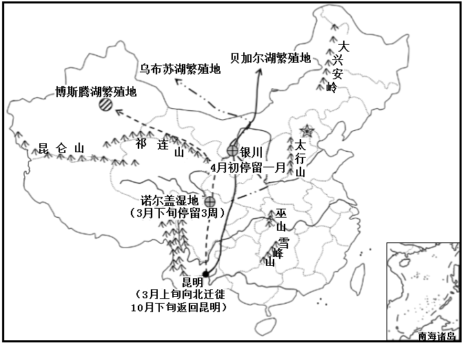 中国三条候鸟迁徙线路图片