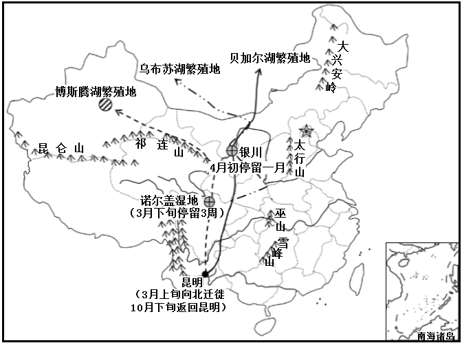 越冬与人同乐成为冬日奇观读红嘴鸥我国境内迁徙示意图完成下面小题