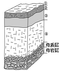 土质层剖面图图片