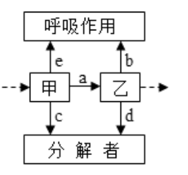 生态系统能量传递图解图片