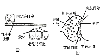 细胞间信息交流方式图图片