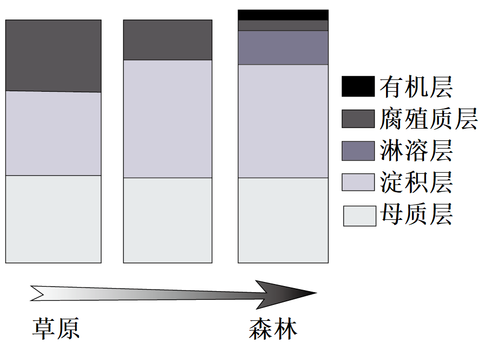 草地土壤剖面结构图片