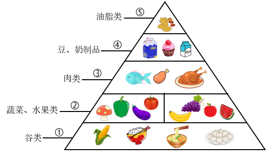 平衡膳食宝塔蛋白质图片