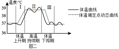 发热过程体温调节发热时相中调定点与中心体温的关系调定点发热体温