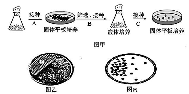 生物富集示意图图片