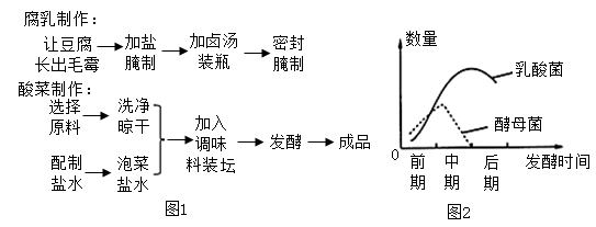 泡菜制作步骤生物图片