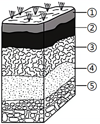 自然土壤剖面示意图图片