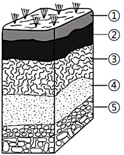 下圖為某草原土壤剖面示意圖據此完成下面小題