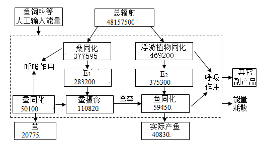 生态系统同化量去向图图片