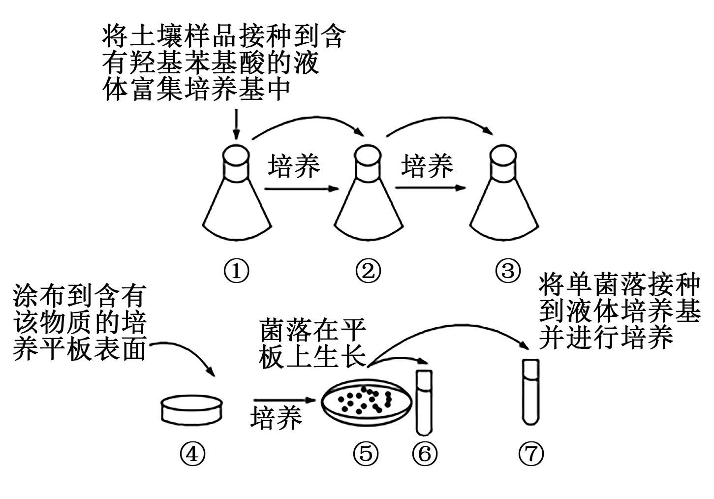 生物富集示意图图片