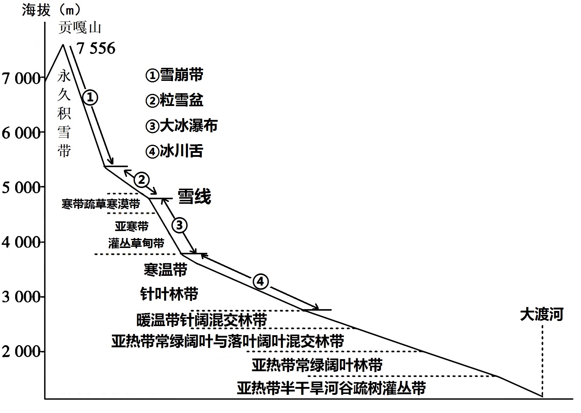 地带性植被分布图图片