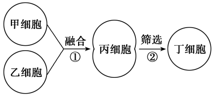 细胞融合图图片