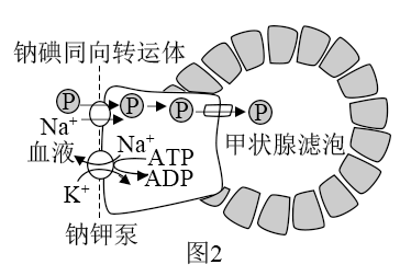 同向转运图片