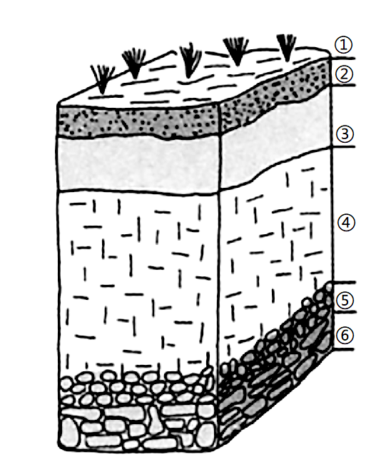 土壤剖面怎么画图片