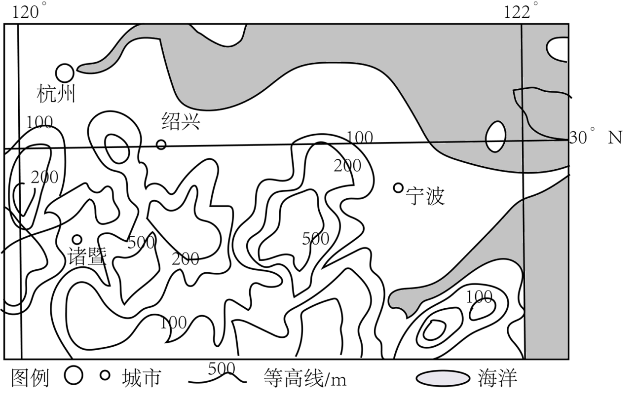 香榧树简笔画图片