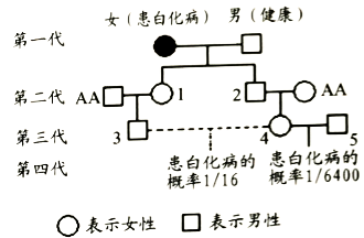 下图为某家族的遗传图谱,据图回答