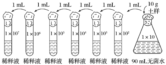 稀释涂布平板法步骤图片