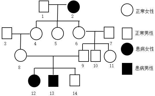 白化病遗传系谱图分析图片
