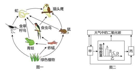 捕食关系图辨别捕食者图片