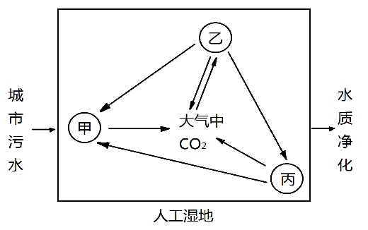 某海水立体养殖生态系统的能量流动示意图如下,m,n表示营养级