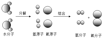 氢气比例模型图片