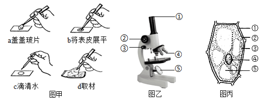 自制显微镜方法和步骤图片