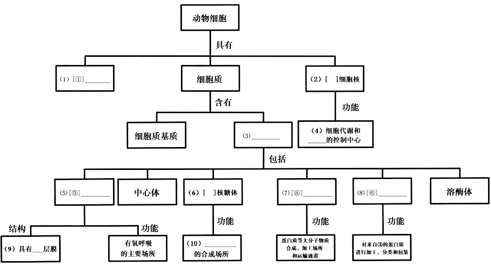 下图是生物兴趣小组绘制的动物细胞亚显微结构模式图结合图示完成下列