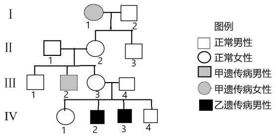 a)控制,乙遺傳病由另一對等位基因(b,b)控制,這兩對等位基因獨立遺傳