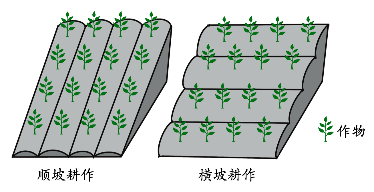 顺坡垄和梯田的区别图片