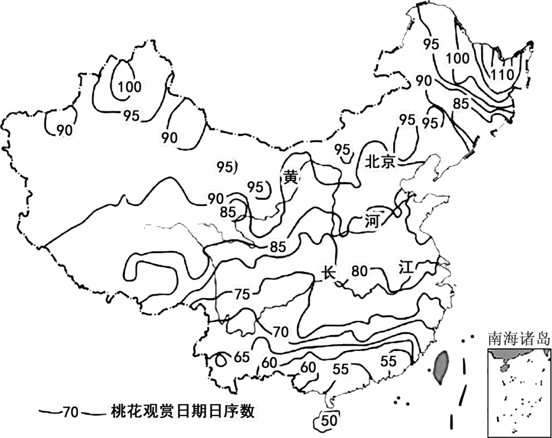 桃花什么时候开 时间图片