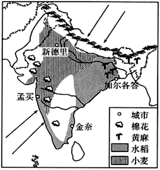 印度水稻分布地区图片
