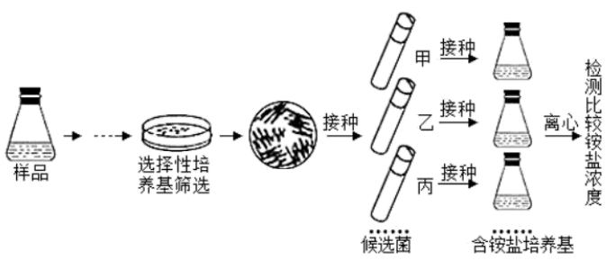 培养皿的使用方法图片